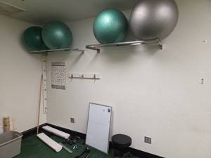 lot 2728 image: Lot of Exercise Equipment Including Exercise Ball Storage System, and More