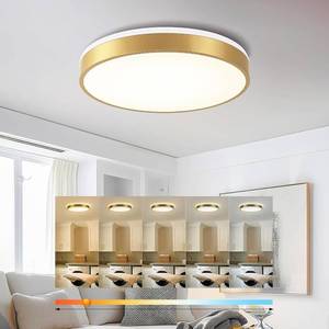 lot 351421 image: Ken & Ricky Flush Mount Ceiling Light, Dimmable Led Close to Ceiling Light Fixtures for Kitchen Bathroom Bedroom Hallway 5cct (Brushed Gold, 16 Inch)