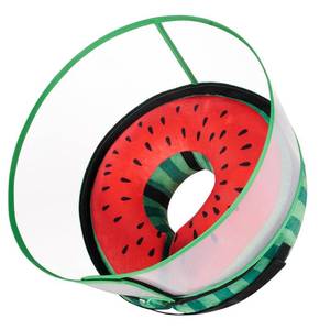 lot 2106 image: CNEO Inflatable Dog Cone Collar with Detachable Enhanced Anti-Licking Shield, Soft Neck Donut Collar for Dogs After Surgery, Adjustable Dog Cone Alternative for Large Medium Small Dogs & Cats