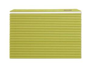 lot 4315 image: Hasegawa 10 x 6.5 Inch Plastic Green MakisuSushi Rolling Mat
