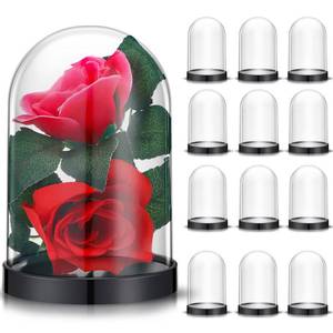 lot 7485 image: Zhengmy Plastic Dome Display Case Cloche Bell Jar with Base Clear for Collectibles Rose Office Home Tabletop Centerpiece Decoration(12 Pieces)