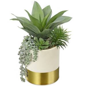 lot 7493 image: Hollyone Large Artificial Succulents Plants Faux Succulents 12 Fake Succulent Plants in Gold Ceramic Pot Succulent Plant for Desk Modern Home Living Room Office Table Shelf Decor