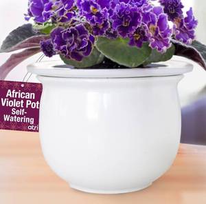 lot 15631 image: African Violet Pots Self Watering �� 6.5��W x 4.6��H Ceramic Self Watering Pots for Indoor Plants with Glazed White Outer Pot & Absorbent Inner Pot for Easy Plant Care