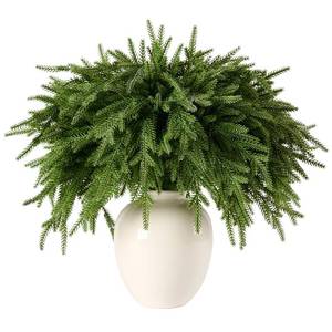 lot 3238 image: CLEANGOR 12Pcs 18 Norfolk Pine Stems Realistic, Lifelike Christmas Greenery Pine Branches for DIY Wreaths, Vase Fillers, Indoor Outdoor Decor, Real Touch Christmas Decorations for Table, Mantle