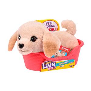 lot 6137 image: Little Live Pets My Really Real Puppy Mini Buddy The Retriever, Interactive Plush Toy with Basket, 20 Sounds and Reactions, Puppy Toys for Kids
