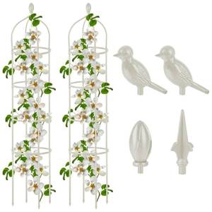 lot 11822 image: 2 Pcs Garden Obelisk Trellis for Climbing Plants Outdoor 6 Ft Rose Bush Round Trellis for Pots Rustproof Metal Plant Flower Trellises for Clematis Vine Jasmine Support Outdoor Indoor