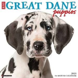 lot 12406 image: Just Great Dane Puppies 2025 12 x 12 Wall Calendar