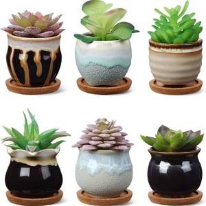 lot 15683 image: BBTO 6 Set Mini Succulent Pots Bulk with Drainage and Bamboo Tray 2.9 x 3.1 Inch Small Cute Ceramic Succulent Planter Pot Garden Glaze Container Ideal Present for Cactus Office Home Decoration Gift missing a tray