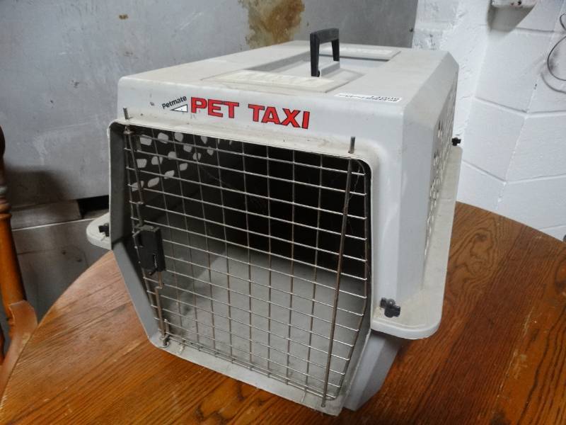 lot 14006 image: Pet taxi