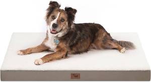 lot 471160 image: Orthopedic Dog Bed for Large Dogs, Plush Washable Pet Bed for Large Size Dogs with Egg Crate Foam & Removable Oxford Cover, 36x27 Inch, Khaki White