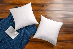 lot 471178 image: JA COMFORTS 20 20 Premium Goose Down Feather Throw Pillow Inserts(Set of 2)-5% Down Filling,High Filling Weight,250 TC Cotton Cover, Square, White