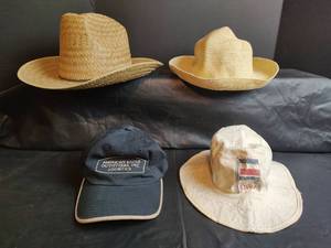 lot 355 image: Mixed Hat Collection - Straw Cowboy, Baseball Cap and More