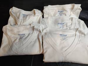lot 420 image: New Gildan White T-Shirts LG Size 42-44
