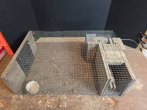 lot 1556 image: Large Wood and Wire Bird Trap