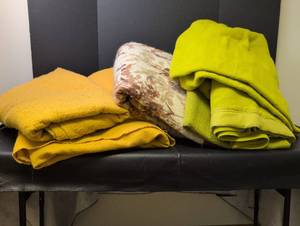 lot 1006 image: 6 Blankets perfect for moving or covering spring plants various sizes