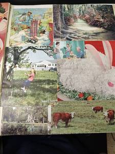 lot 1118 image: 1950s Vintage Photo Collection Scrapbook