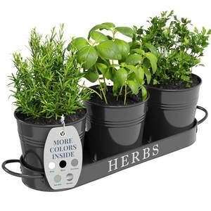 lot 54250 image: Barnyard Designs Indoor Herb Garden Planter Set with Tray, Metal Windowsill Plant Pots with Drainage for Outdoor or Indoor Plants, Set3 (Black) - Retail $25