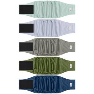 lot 54259 image: 5 Pack Dog Diapers Male Reusable, Premium Belly Bands for Male Dogs, High Absorbing Dog Pee Wraps for Doggie in Incontinence or Excitable Urination and Training Green L - Retail $24