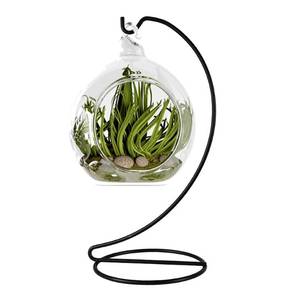 lot 7494 image: Fosinz 9 Inch Black Ornament Display Stand, Metal Ornament Hanger Stand for Hanging Glass Globe(5inch), Air Plant Terrarium, Witch Ball, Christmas Ornament and Home Wedding Decoration (1, 9x4 Black)