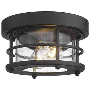 lot 7741 image: Emliviar 2-Light Round Ceiling Light Fixture, Farmhouse Flush Mount Ceiling Light 10 Inch, Black Finish, WE2085F BK