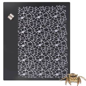 lot 8256 image: DQITJ 1 Pcs Jumping Spider Climbing Net Enclosure Accessories with Magnet for Insect Praying Mantis Jumping Spider Stick Insect (13.7 L, 9.8 W)