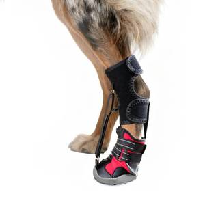 lot 8329 image: Strap-On Drop Foot Brace (No Knuckling Boot Brace) for Dogs Dog Knee Pads,Corrective Dog Shoes to Safely Lift Toes for Foot Issues, Arthritis, and improving Walking gait in Dogs(L)