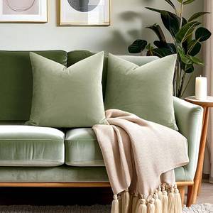 lot 8413 image: 20x20 Velvet Pillow Covers Set of 2 Sage Green Decorative Square Throw Pillowcase Soft Solid Cushion Covers for Bedroom Living Room Outdoor Indoor Decoration