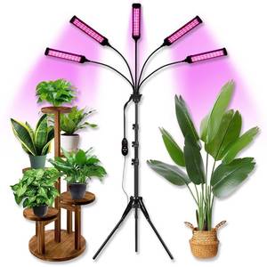 lot 1453 image: Grow Lights for Indoor Plants, Full Spectrum led Grow Light with Stand, Auto OnOff Timing 369121518H & 11 Brightness Levels, Plant Light for Indoor Plants with RedBlueSunlike
