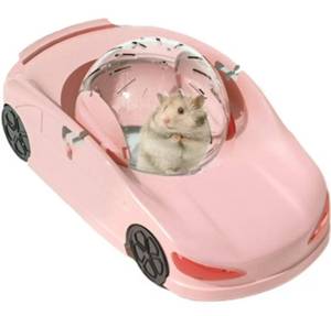 lot 1519 image: Hamster Ball Race Car Pink