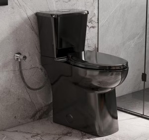 lot 21 image: 21 in. Tall Toilet, Black Two-Piece High Toilet, Skirted and Elongated Bowl, 1.11.28 GPF Dual Flush, 12 in. Rough-in Retails $398