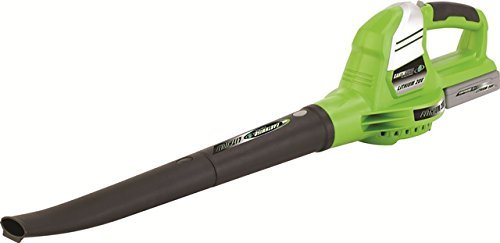 lot 4658 image: Earthwise LB20020 20-Volt Lithium Ion Cordless Electric Single Speed 130 MPH Leaf Blower