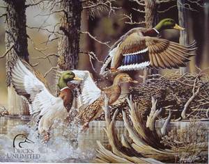lot 9015 image: Ducks Unlimited Beaver Pond Tin Sign, 16x13