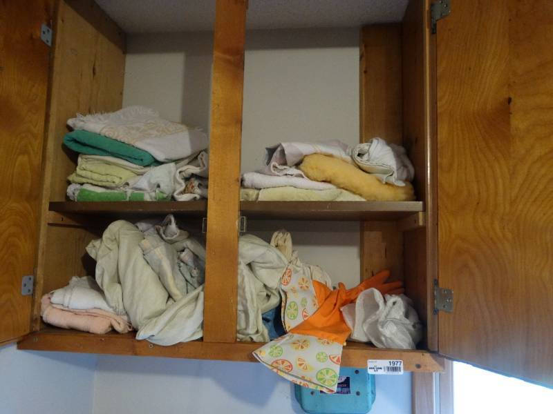 lot 1977 image: Contents in cabinet and cleaning supplies.