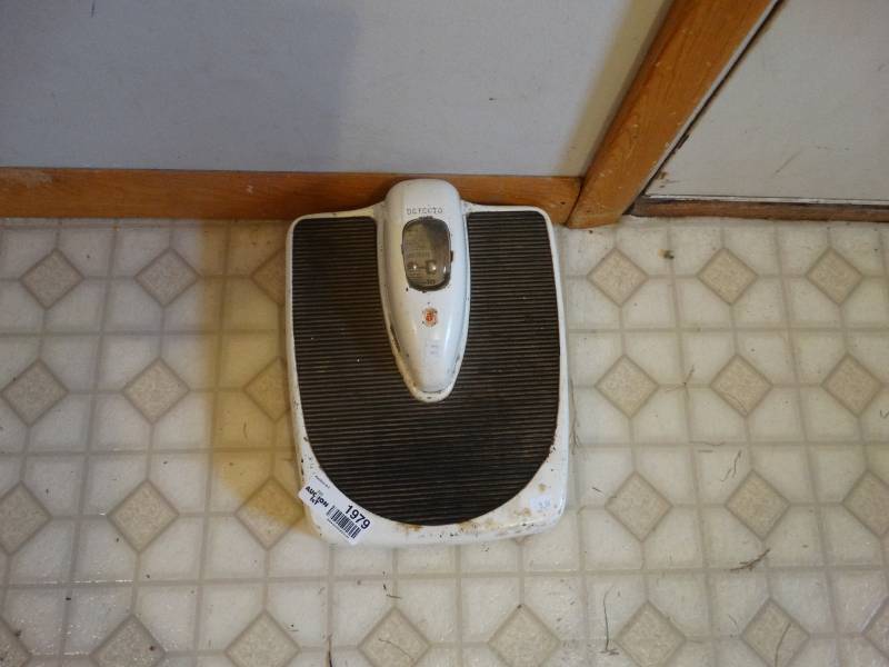 lot 1979 image: Scale.