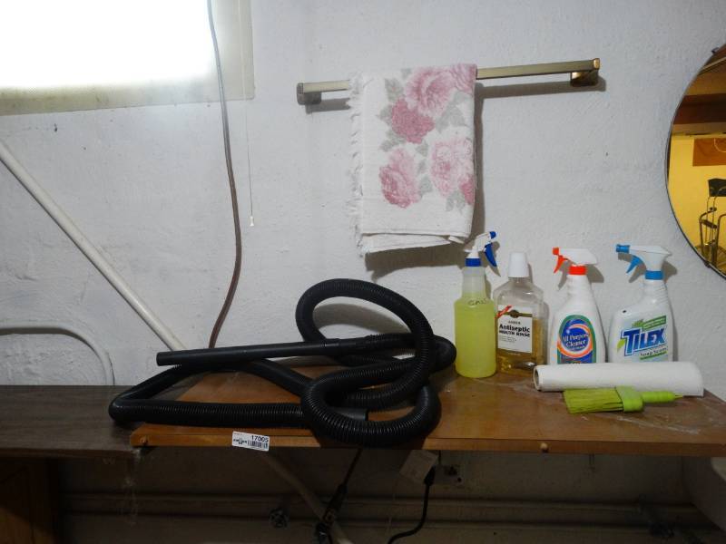 lot 17005 image: Lot with cleaning supply, vacuum hose, etc.