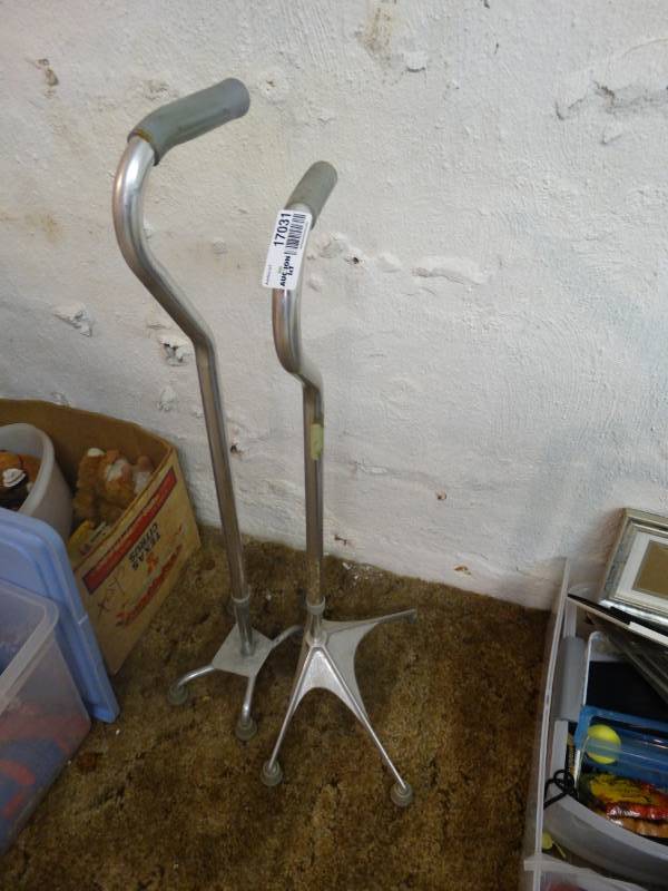 lot 17031 image: 2 walkercane.