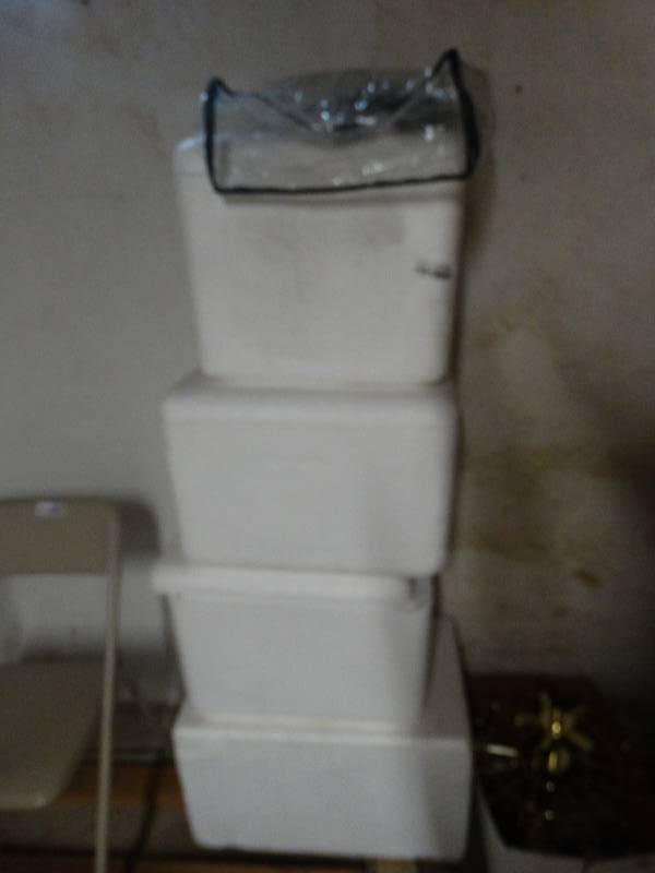 lot 17057 image: 4 Various size foam coolers.