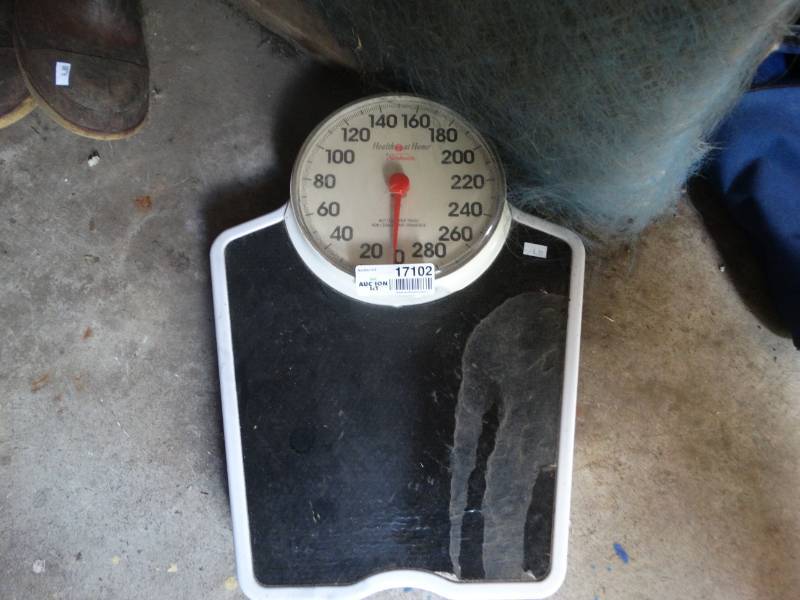 lot 17102 image: Scale.