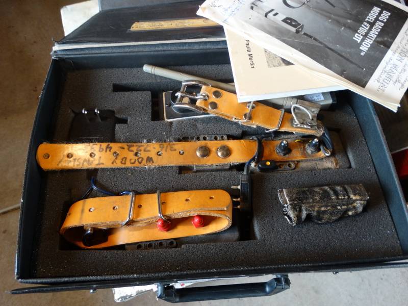 lot 17112 image: Dog radartron.