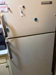 lot 1606 image: KELVINATOR REFRIGERATOR....................KCHN