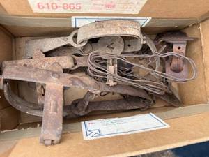 lot 1770 image: Steel traps (box of 5) -- BY