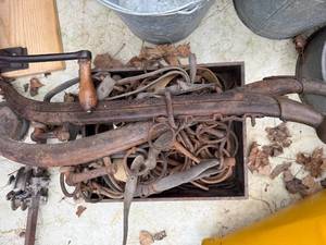 lot 1774 image: Antique bits and harness -- BY