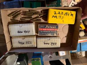 lot 1976 image: .222 REMINGTON MAGNUM  (N90 ROUNDSRELOADS)