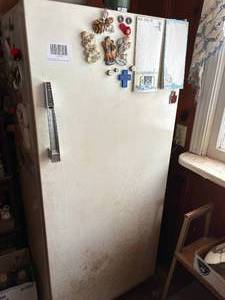 lot 1513 image: 10.1 cu. ft. upright Admiral freezer (works) -- DR