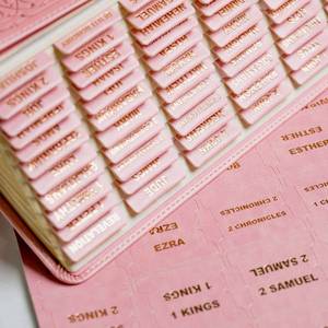 lot 2065 image: UPAFEXXI-Leather Bible Tabs, Bible Tabs for Women and Men(Gold Foil Lettering) Large Print Stickers, Easy to Read and Apply, 80 Chapters Labels for Easy Navigation(Pink)
