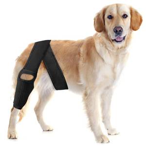 lot 6324 image: TEHAYSH Dog Knee Brace for Torn ACL �� Elastic Support, Adjustable Compression Stabilizer, Breathable Neoprene, 4-Leg Universal Fit (FrontRear, LeftRight) for Post-Surgery Recovery (M)