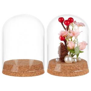 lot 6339 image: BENECREAT 2 Pcs Glass Display Cloche, 3x4.1 inches Bell Jar Dome with Cork Base, Display Dome Glass for Flower, Plant, Miniature and Craft, Home Decoration, ID 3 inches