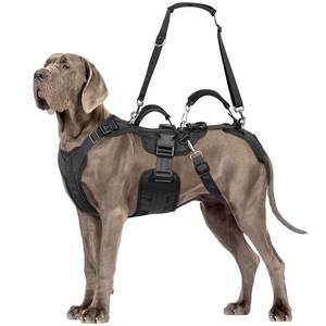lot 8488 image: Dog Lift Harness, Dog Support & Recovery Sling for Full-Body & HindFront Leg �� Pee-Able Design for LargeMedium Dogs �� All-in-One Ideal Assistance for Senior, Disabled, Arthritic & ACL Canines (XL)