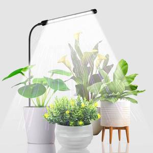 lot 14065 image: Juhefa Grow Light for Indoor Plants Growing, 6000K Full Spectrum Gooseneck Plant Lamp for Seedings Succulents Small Plants, Auto OnOff Timing & 5 Dimming, 1-Pack