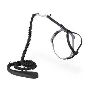 lot 20241 image: PetSafe Come with Me Kitty Cat Harness & Bungee Leash - Comfortable No-Choke Harness with Lightweight Bungee Leash for Outdoor Fun - Escape Free Pulling Prevention - Small - Black